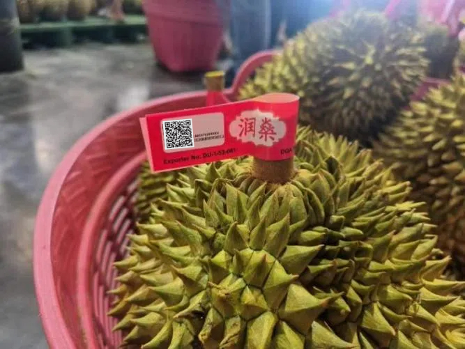 One fruit, two countries, full traceability: How GS1 standards help track every durian