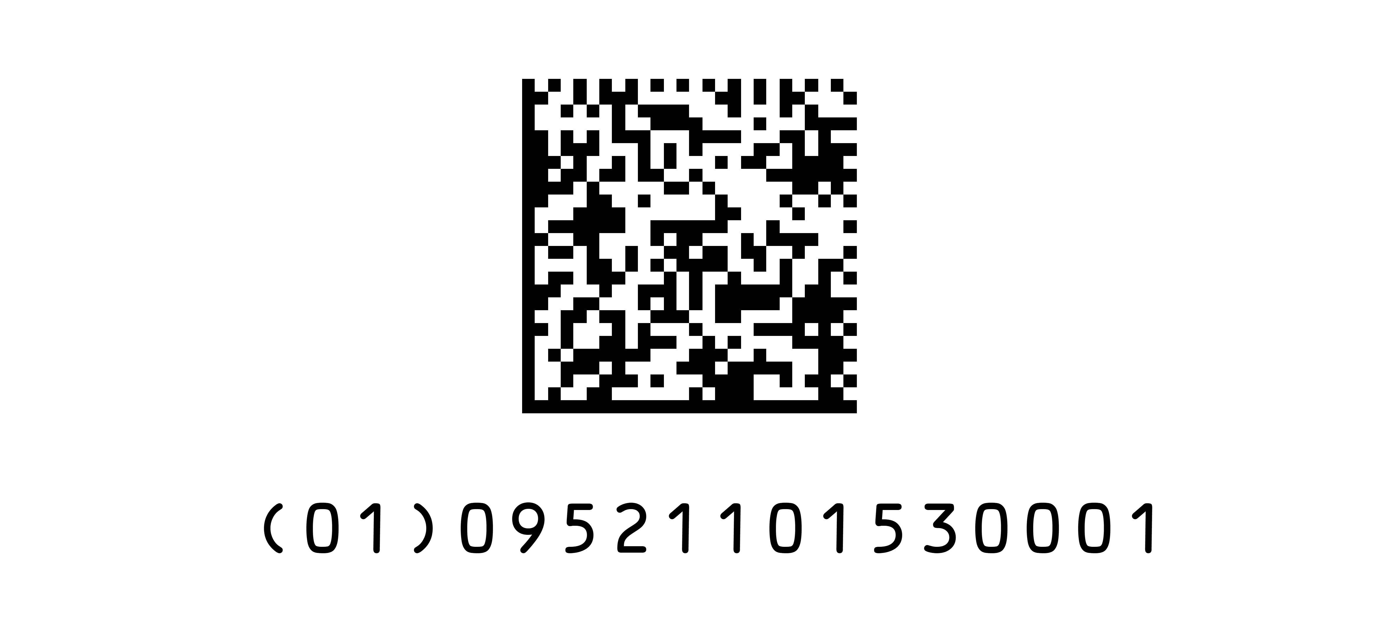 Data Matrix with GS1 Digital Link