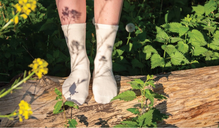 Sustainable socks with a QR Code powered by GS1 label on natural wood, showcasing sustainability