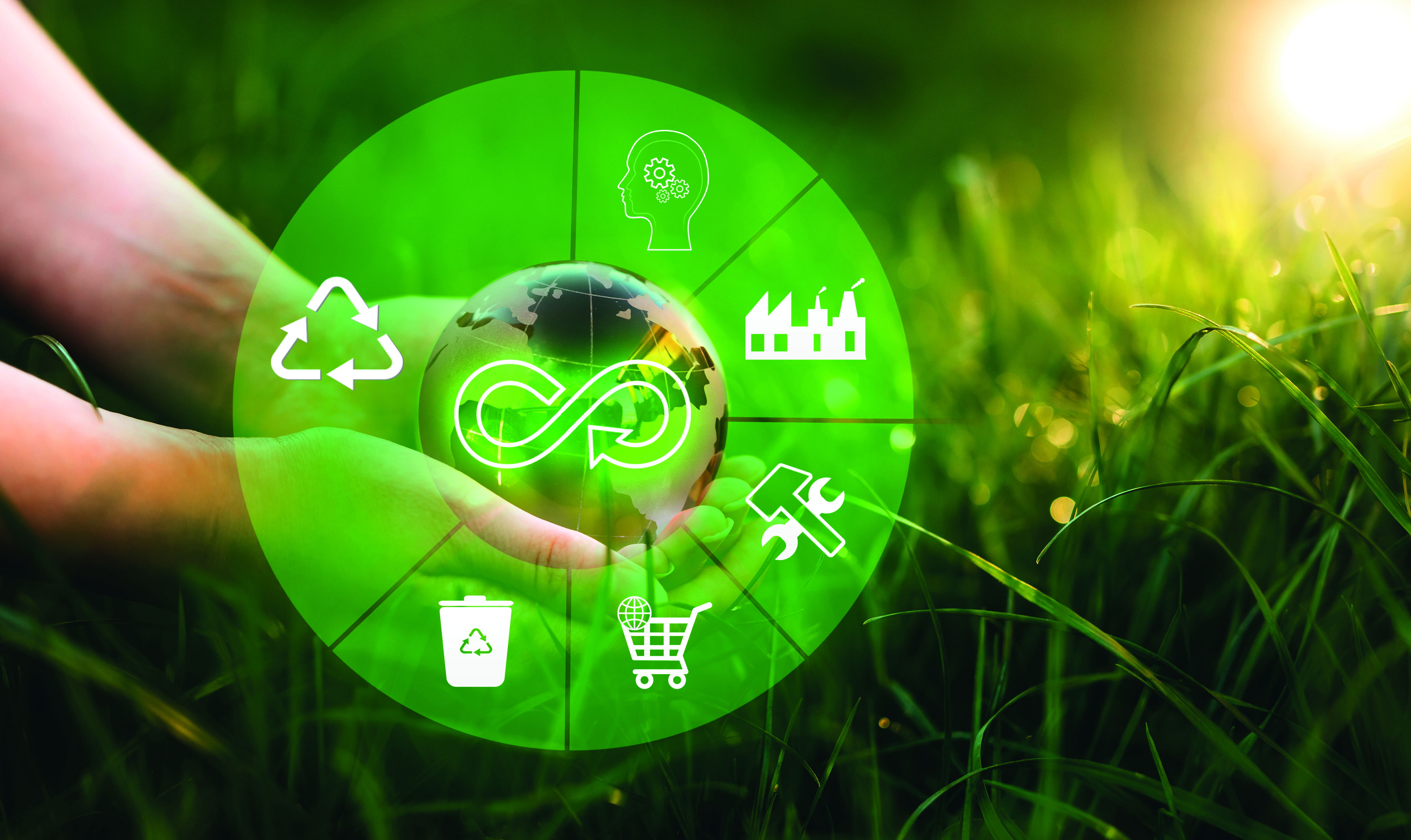 sustainability image