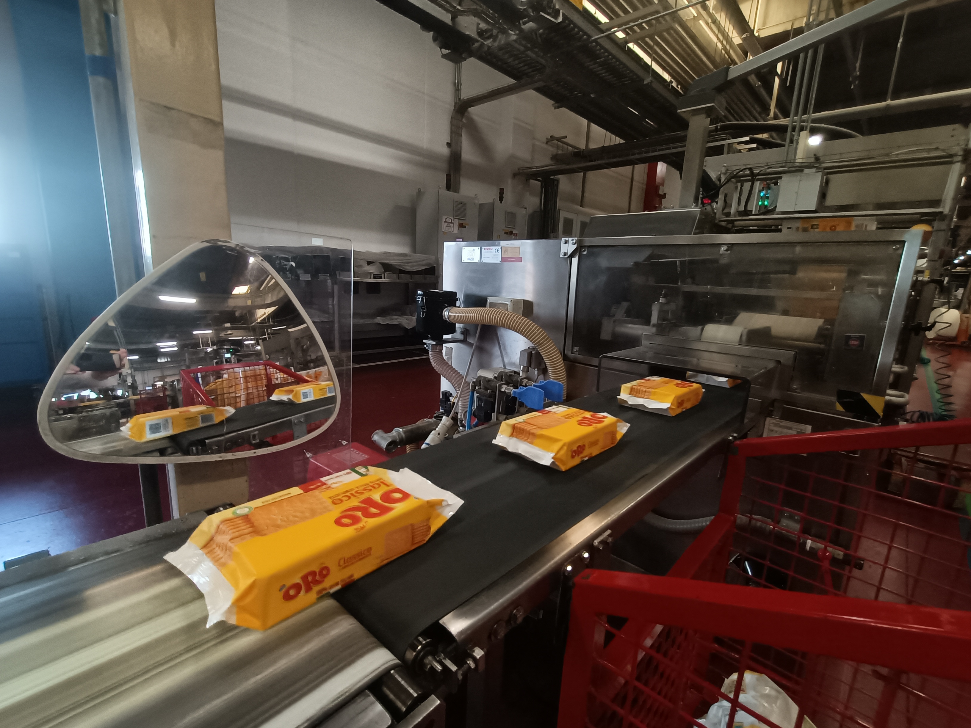 biscuits showing on a factory conveyor belt
